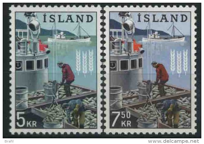 1963 Islanda, Lotto Alla Fame Faim , Serie Completa Nuova (**) - Unused Stamps