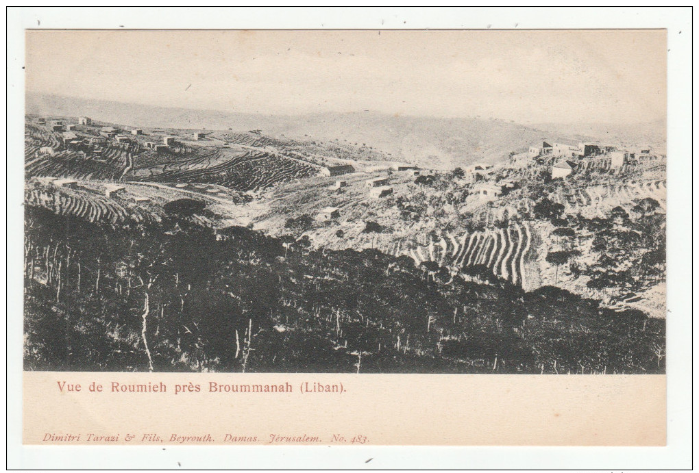 Liban - Vue De Roumieh Près Broummanah - Dos Simple - éd. Dimitri Tarazi, N°483, Carte De Turquie - Liban