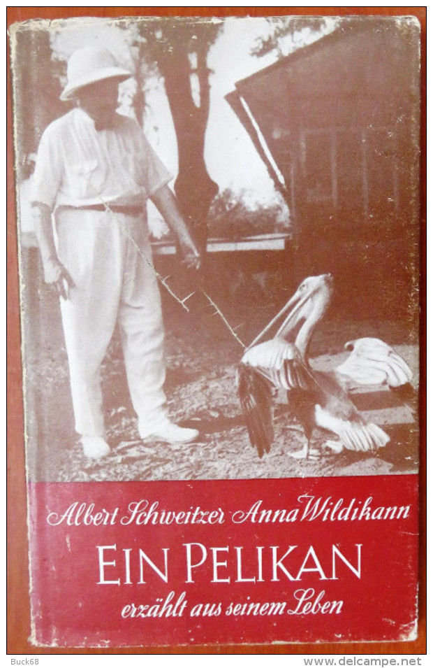 Albert SCHWEITZER : Ein Pelikan Erzählt Aus Seinem Leben (Richard Meiner Verlag) - Biografía & Memorias