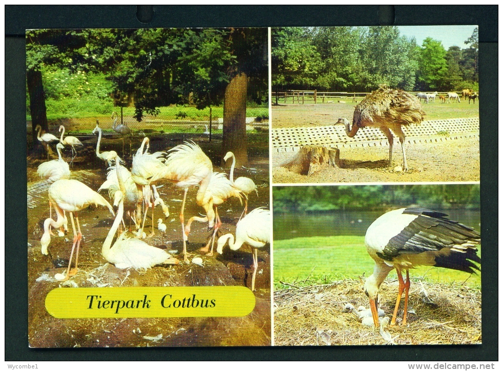 GERMANY  -  Cottbus  Tierpark  Multi View  Unused Postcard - Cottbus