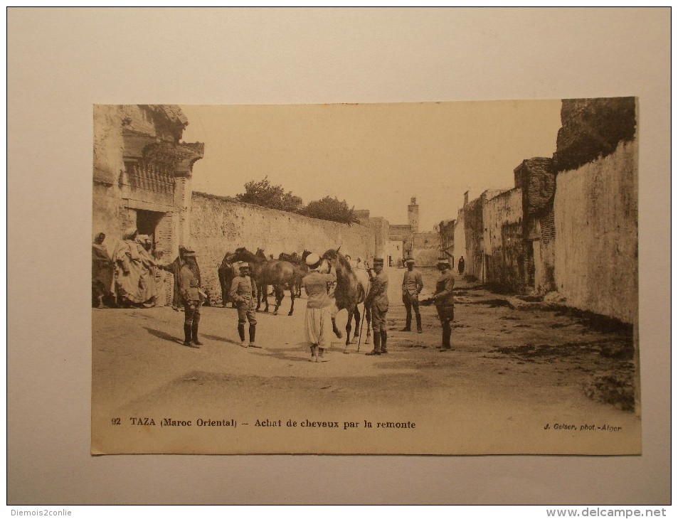 Carte Postale - MAROC - Taza - Achat De Chevaux Par La Remonte (2A) - Other & Unclassified