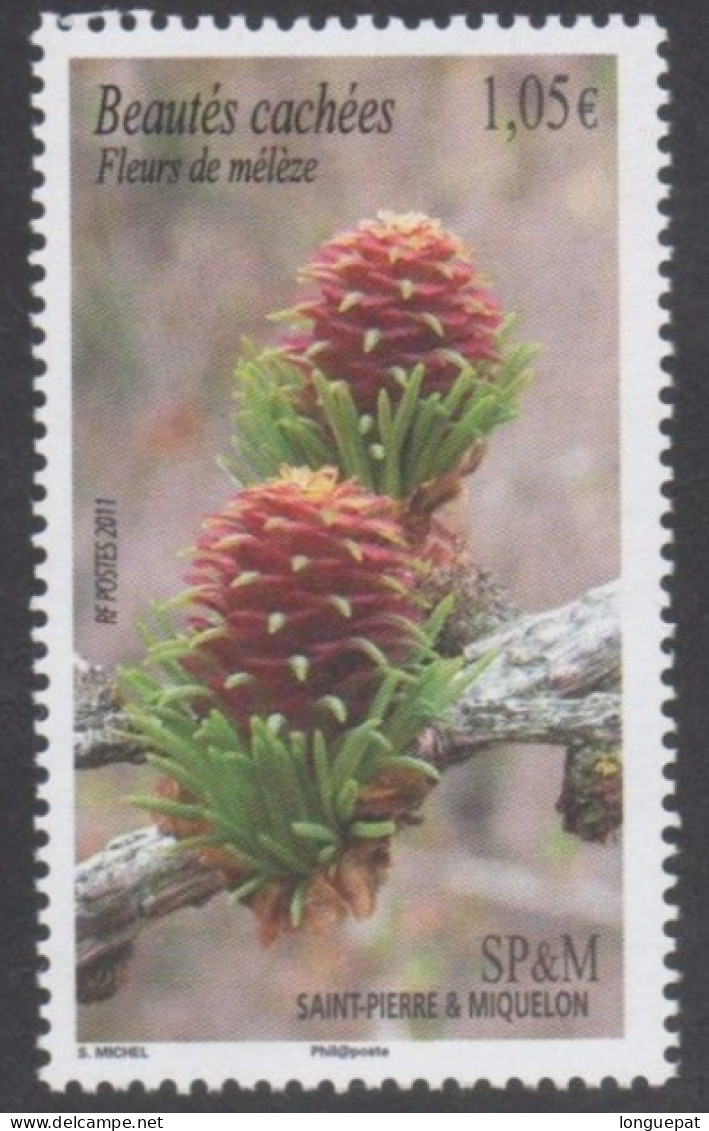 SAINT-PIERRE Et MIQUELON - Flore - Fleur De Mélèze - Beautés Cachées - - Unused Stamps