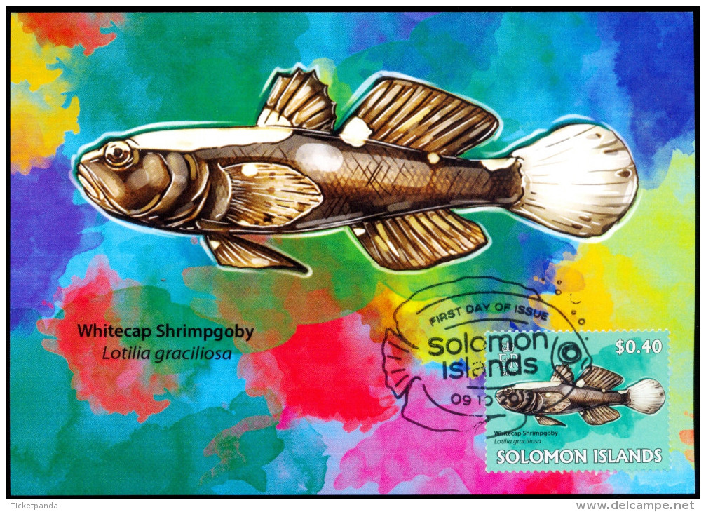 FISHES-VERY LARGE SET OF 25 MAXIMUM CARDS-F.V OVER $150-SOLOMON ISLANDS-2013-SCARCE-MNH-SCARCE-MC-39 - Poissons