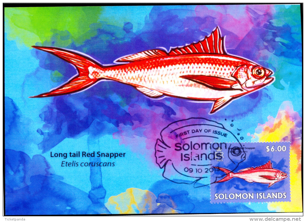 FISHES-VERY LARGE SET OF 25 MAXIMUM CARDS-F.V OVER $150-SOLOMON ISLANDS-2013-SCARCE-MNH-SCARCE-MC-39