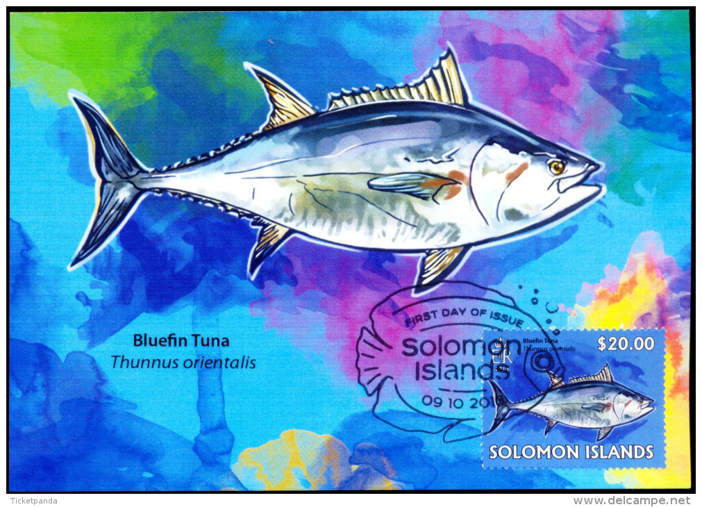 FISHES-VERY LARGE SET OF 25 MAXIMUM CARDS-F.V OVER $150-SOLOMON ISLANDS-2013-SCARCE-MNH-SCARCE-MC-39