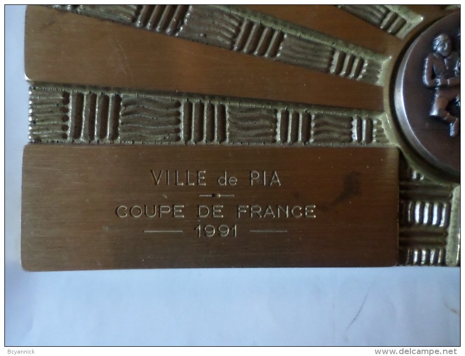 PLAQUE COUPE DE FRANCE RUGBY 1991 VILLE DE PIA - Rugby