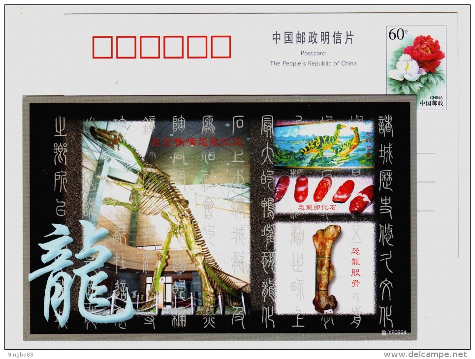 Egg Fossil,thighbone Fossil,CN 00 Zhucheng Dinosaur Museum Giant Hadrosaurus Dinosaur Fossil Advert Pre-stamped Card - Fossils