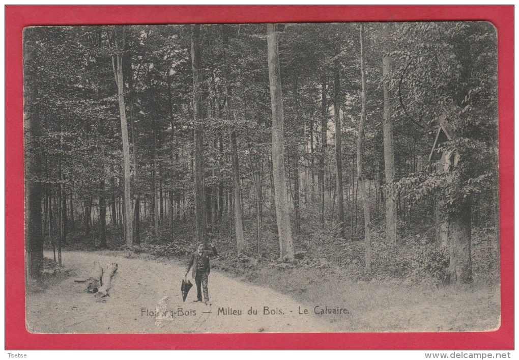 Flobecq-Bois - Milieu Du Bois - Le Calvaire ( Voir Verso ) - Vloesberg