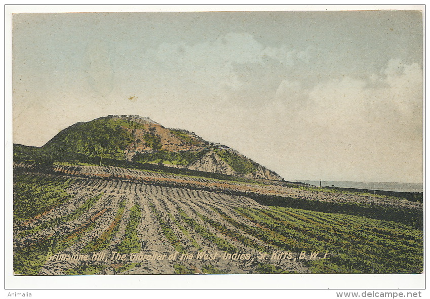 St Kitts Brimstone Hill, The Gibraltar Of The West Indies B.W.I.  Editor John St Kitts Hand Colored - Saint Kitts And Nevis