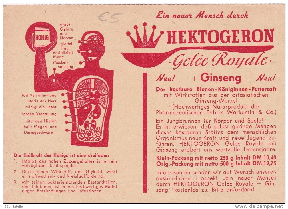 ALLEMAGNE CARTE  THEME GELEE ROYALE GINSENG - Pharmazie