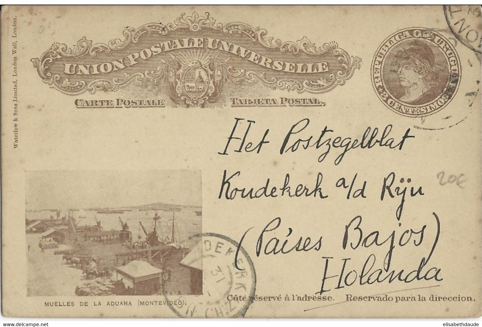 URUGUAY - 1909 - CARTE ENTIER POSTAL ILLUSTREE De MONTEVIDEO  Pour KOUDEKERK (HOLLANDE) - Uruguay