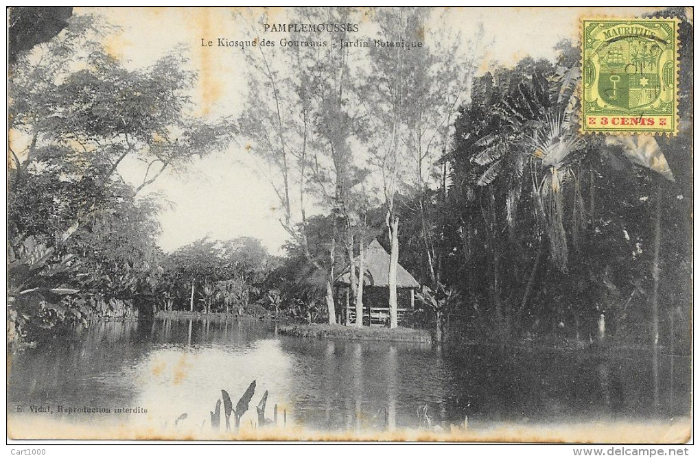 MAURITIUS PAMPLEMOUSSES LA KIOSUE DES GOURAMIS 1910 - Mauritius