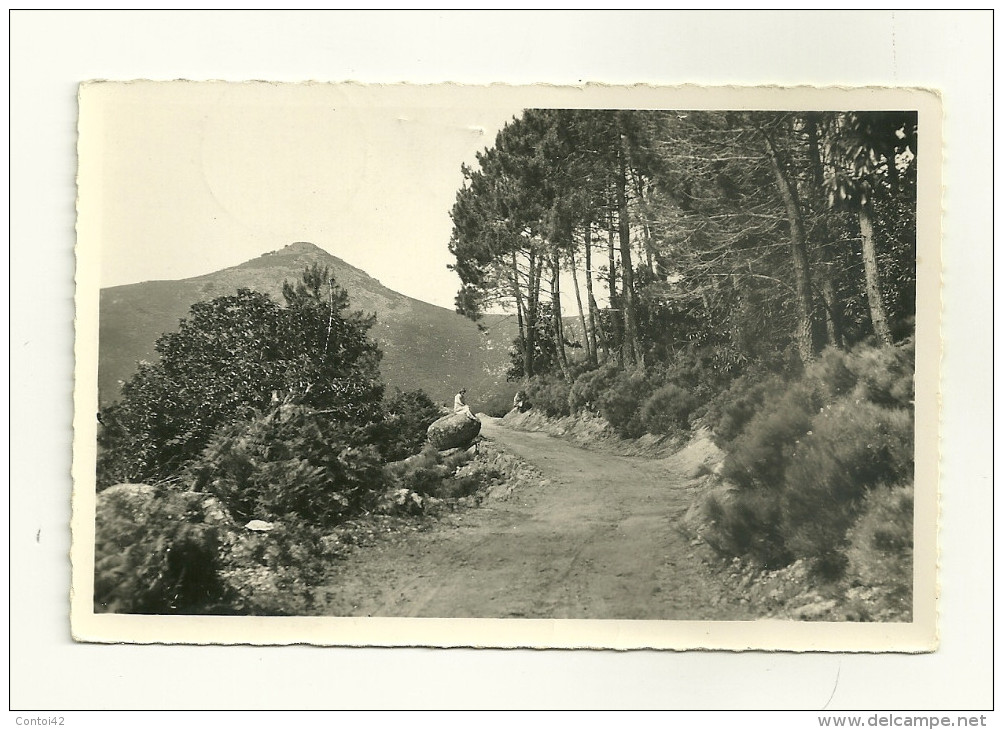 30 GENOLHAC SOUS BOIS GARD - Gallargues-le-Montueux