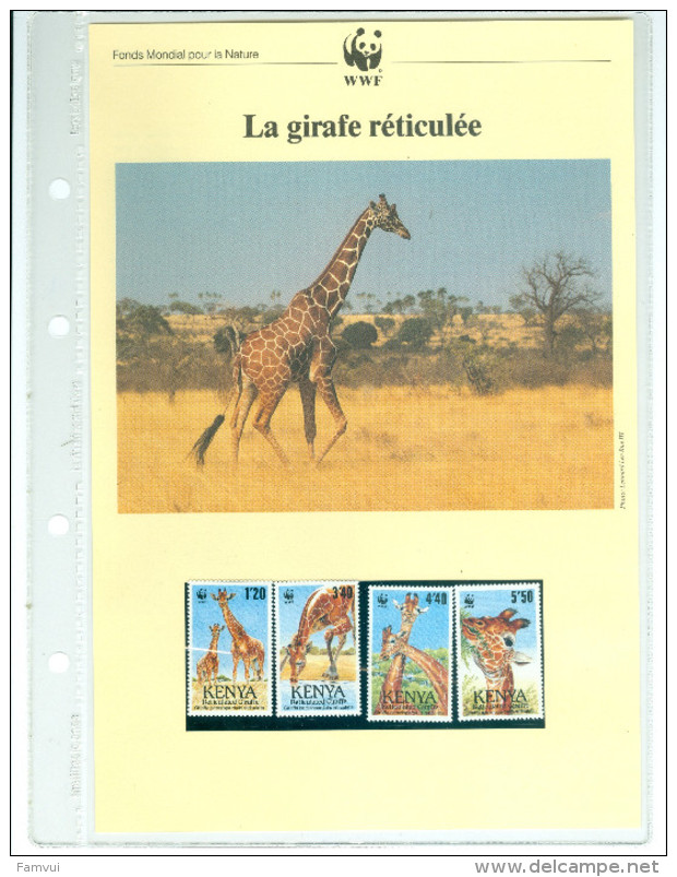 Album WWF (2) Coll.nat. Et Ani Sauv.girage Lycaon Muscivore Marte Amazone Ours Pangolin 4 Tim.neufs 4 Env 1° Jour Fiches - Collections (with Albums)