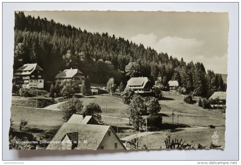 (9/2/54) AK "Hinterzarten" Schwarzwald, Huser Am Hang - Hinterzarten