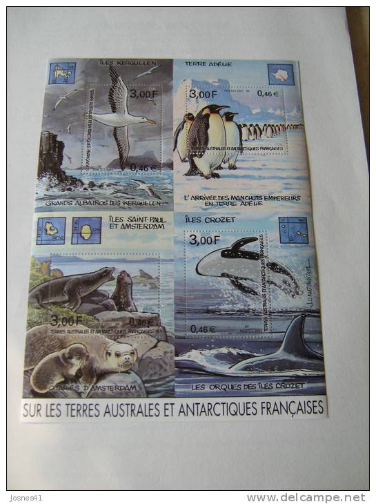 2001    TAAF   BF 5 * *  NO YT 298/301    SERIE COLLECTION JEUNESSE  OISEAU MANCHOTS - Blocks & Kleinbögen