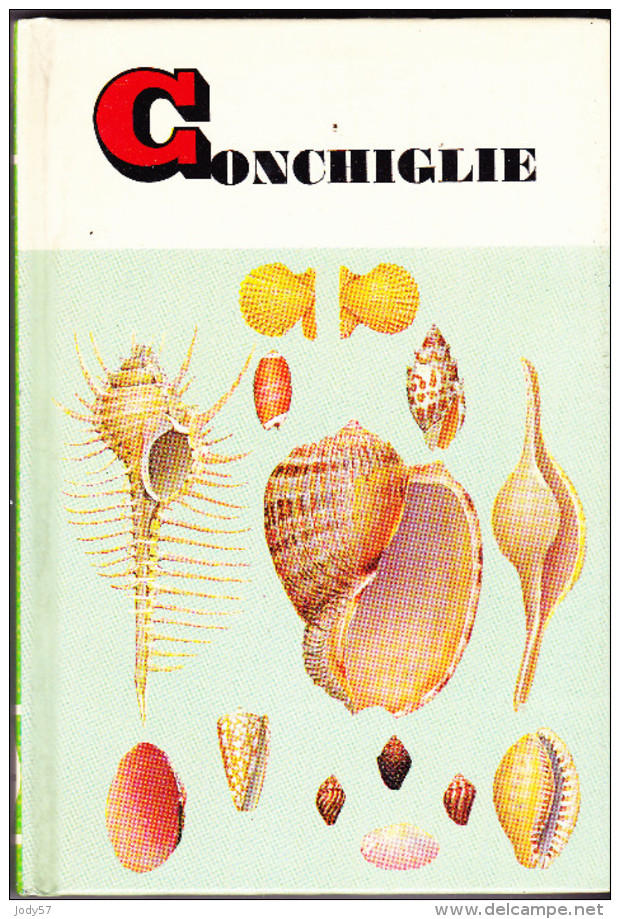 CONCHIGLIE - ABBOTT - ZIM - PICCOLE GUIDE MONDADORI N.23 - 1974 - Historia, Filosofía Y Geografía
