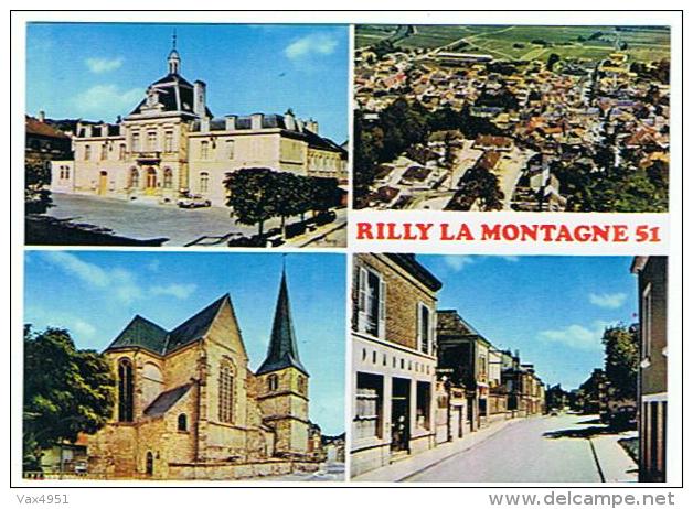 RILLY LA MONTAGNE  MULTIVUES   ****   A   SAISIR **** - Rilly-la-Montagne