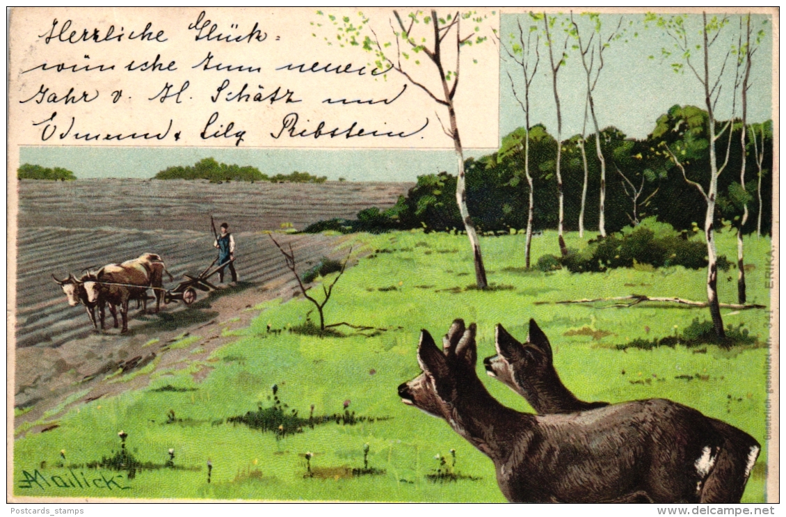 Reh, Rehe, Bauer, Sign. Mailick, 1900 - Mailick, Alfred