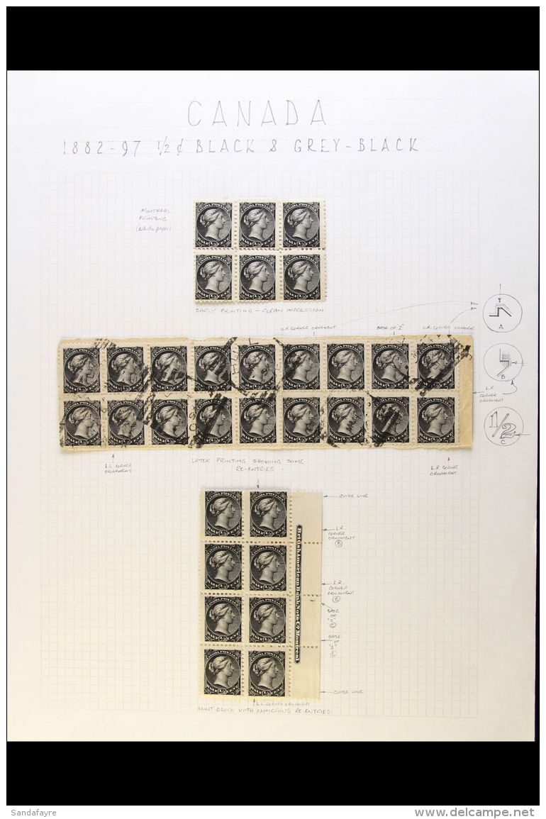 1882-97 &frac12;D SMALL QUEEN. ATTRACTIVE STUDY COLLECTION On Leaves, Inc Block Of 6 Mint, Marginal Imprint Block... - Autres & Non Classés