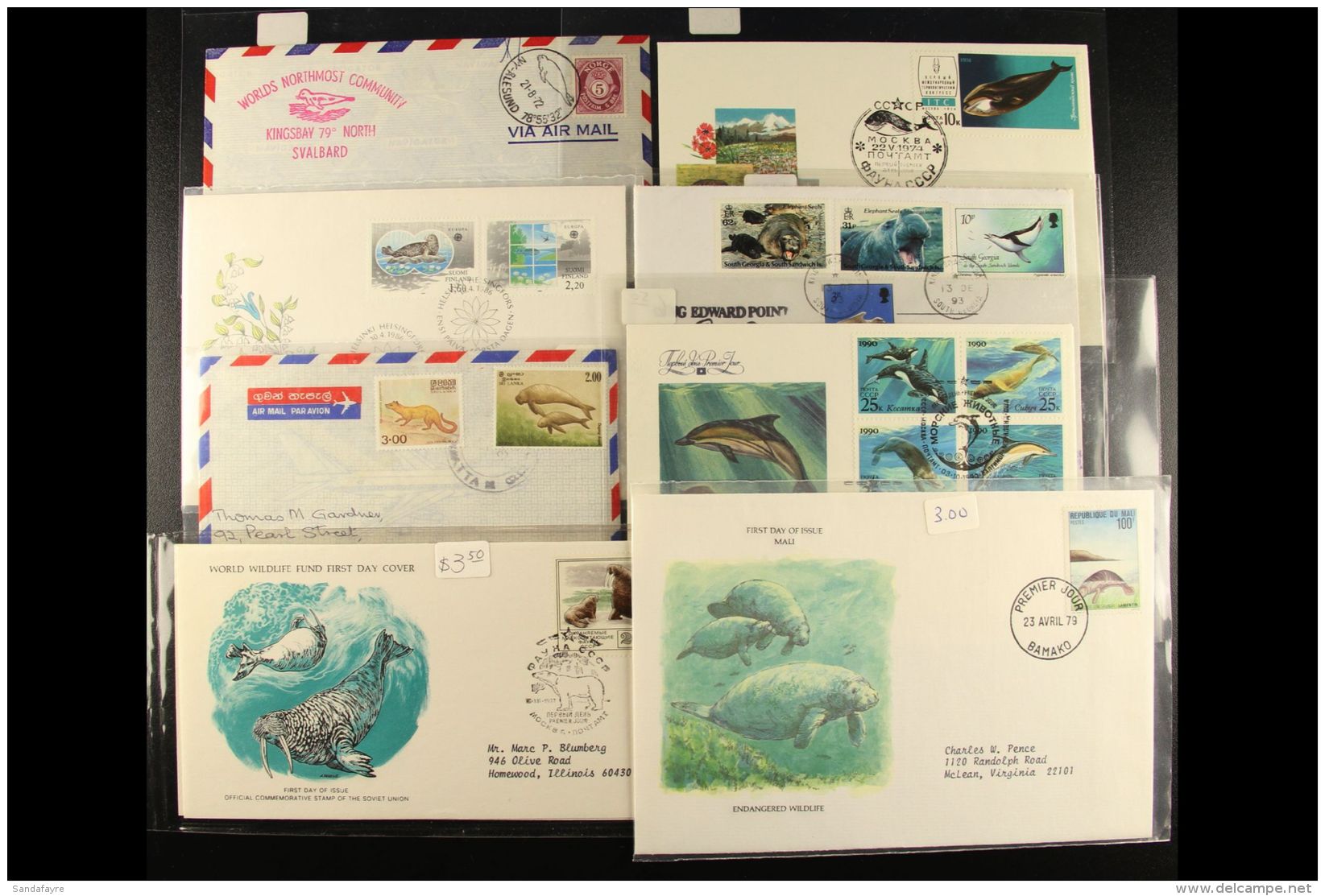 SEA CREATURES 1960's To 1990's All Different World Collection Of Covers And Cards Featuring A Good Range Of Seals,... - Unclassified