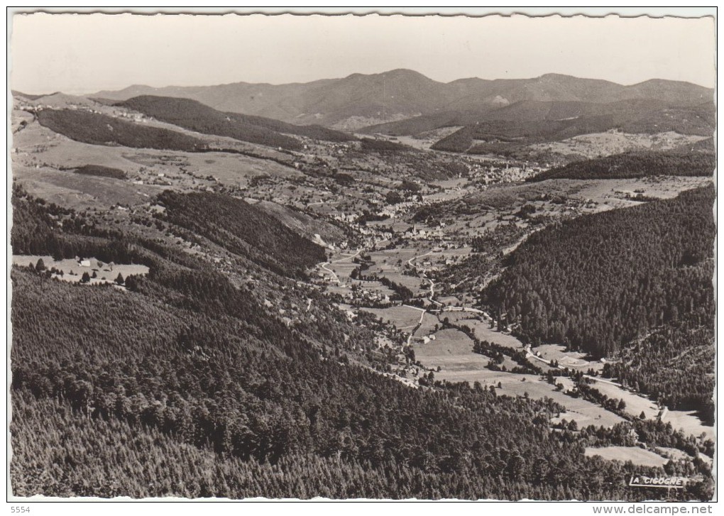 68  Vallee De Munster Vue De L Altenberg - Munster