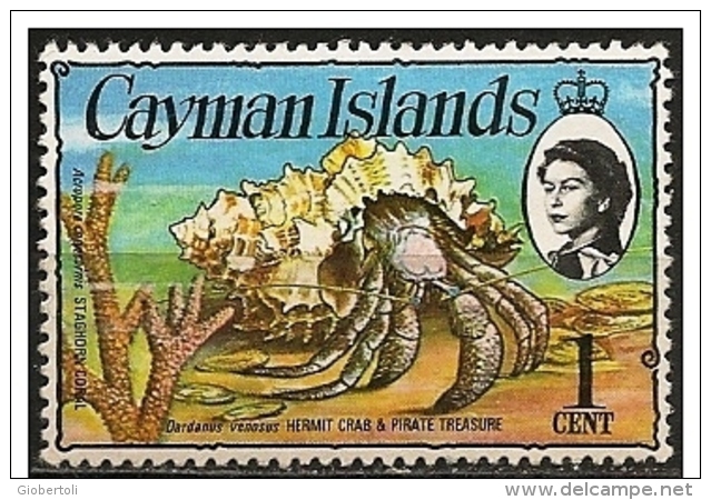 Cayman/Caimanes: Dardanus Venosus - Crostacei