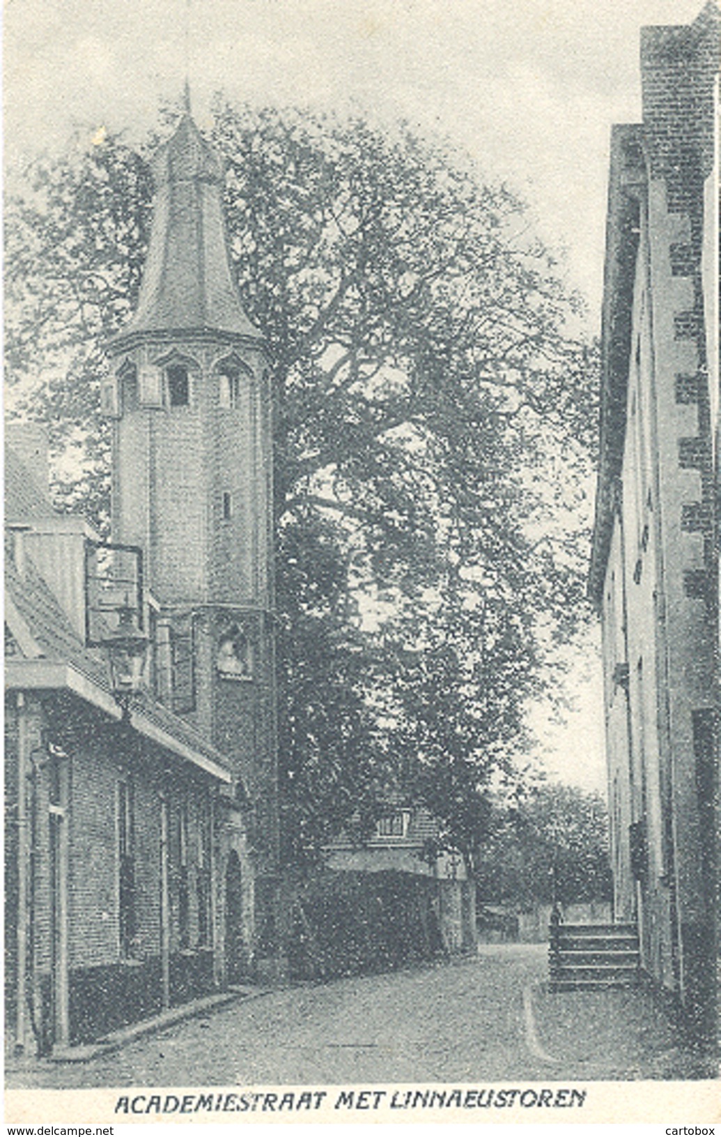 Academiestraat Met Linnaeustoren (in Harderwijk) - Harderwijk