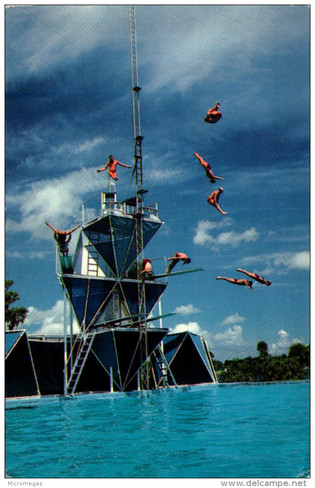 Cypress Gardens - Thrill To The World Champion High-diving Team - Plongeon