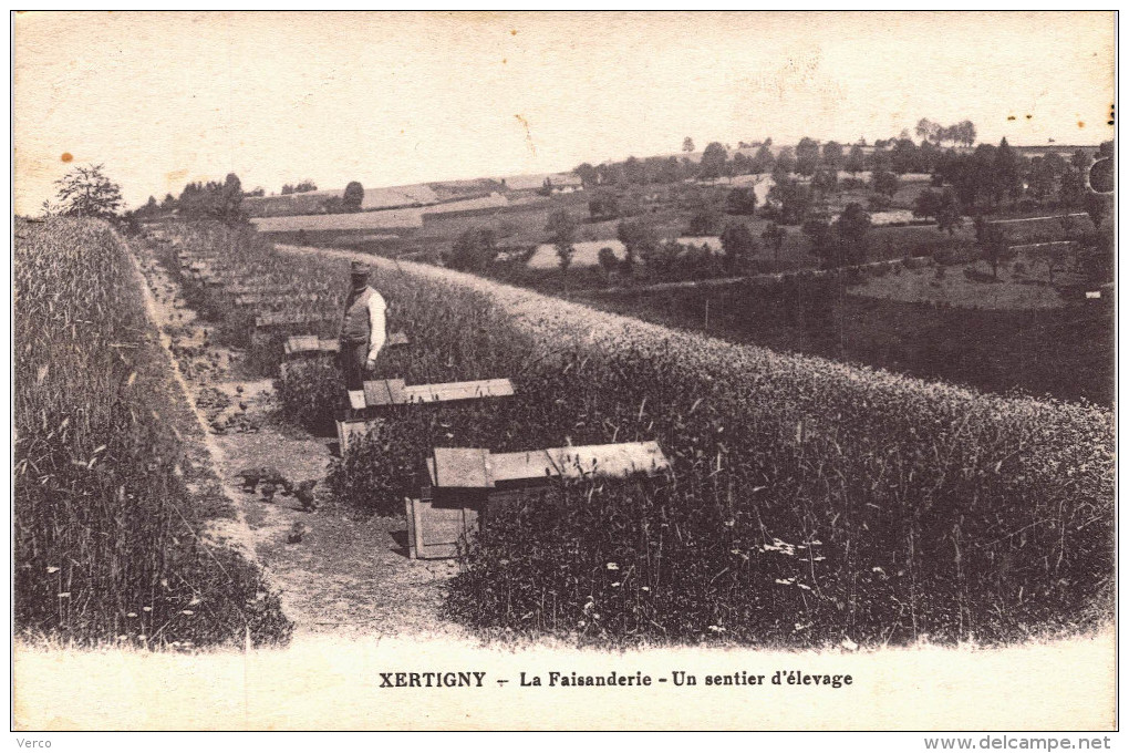 Carte Postale Ancienne De XERTIGNY - Xertigny