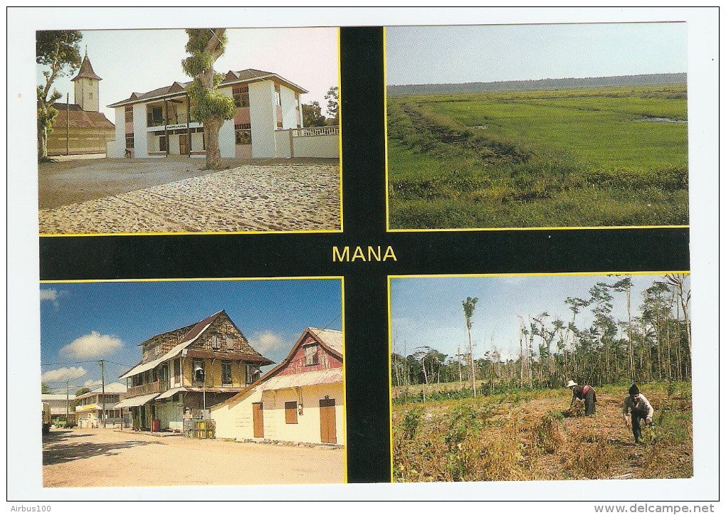 GUYANE FRANCAISE MANA ÉGLISE ET MAIRIE RUE DE MANA HMONGS RIZIERES - NON CIRCULÉE - Other & Unclassified