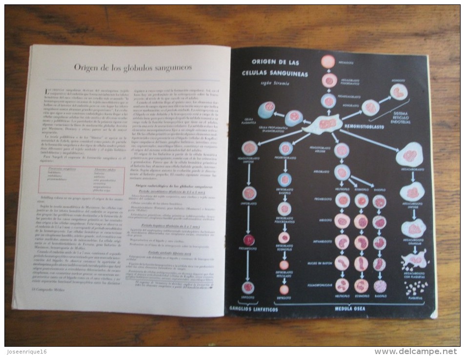 REVISTA COMPENDIO MEDICO SHARP & DOHME Nº 62 - 1951 - Salud Y Belleza