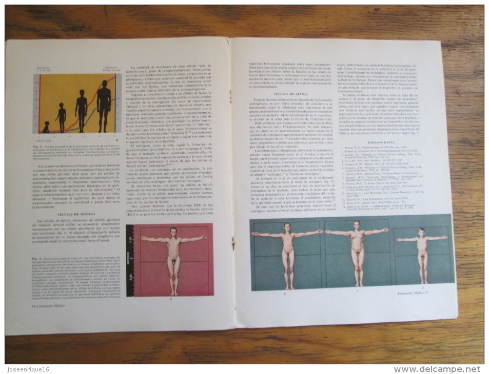 REVISTA COMPENDIO MEDICO SHARP & DOHME Nº 65 - 1952 - Health & Beauty