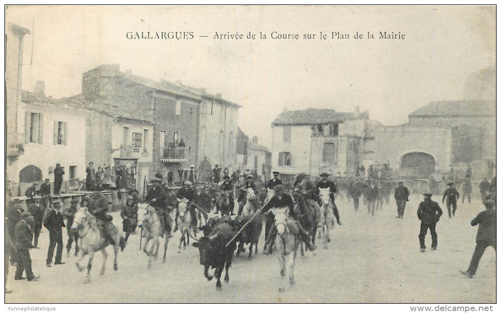 30 - GARD - Gallargues - Arrivée De La Course Sur Le Plan De La Mairie - Gallargues-le-Montueux