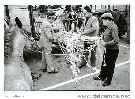 Landivisiau 1979 Par Pierre Le Gall (29) - Landivisiau