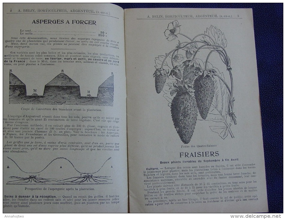 S.-& O. / *ASPERGES D'ARGENTEUIL*,Maison A. Belin -Extr.Catalogue Gal -Illustré.Fraisiers. - Advertising