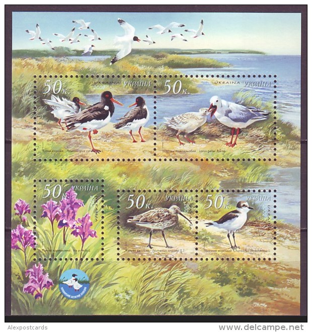 UKRAINE 2002. BLACK SEA BIOSPHERE RESERVE. BIRDS. SEAGULLS. Mi-Nr. 515-19 Block 37. MNH (**) - Meeuwen