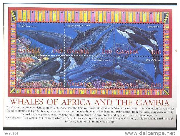 MINT NEVER HINGED MINI SHEET OF FISH-MARINE LIFE  #  M-225-1   ( GAMBIA   2662   WHALES - Fishes