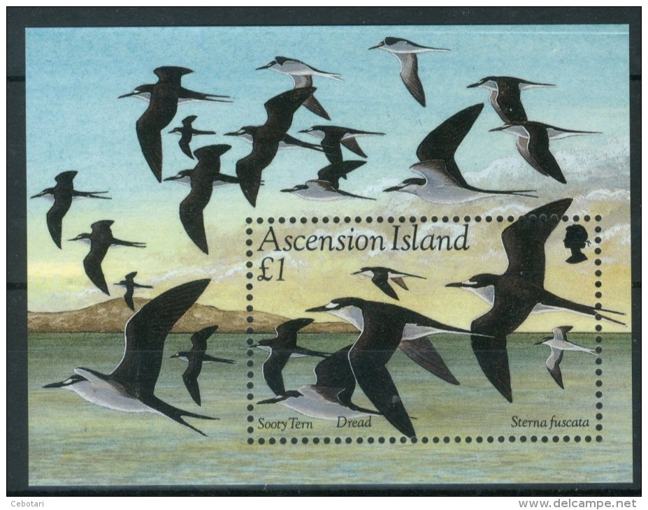 ASCENSION ISLAND 1994** - Bird Sooty Tern - Sterna Fuscata - Block MNH Come Da Scansione - Altri & Non Classificati