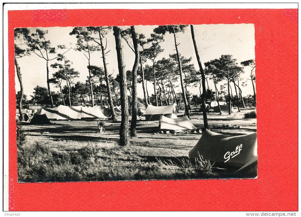 80 CAYEUX Cpsm Campeurs Dans Le Bois De De Pins De Brigthon          12 Becquerelle - Cayeux Sur Mer