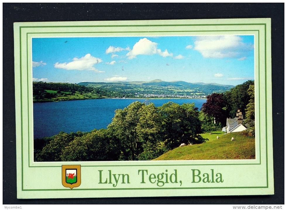 WALES  -  Bala  Llyn Tegid  Used Postcard - Merionethshire