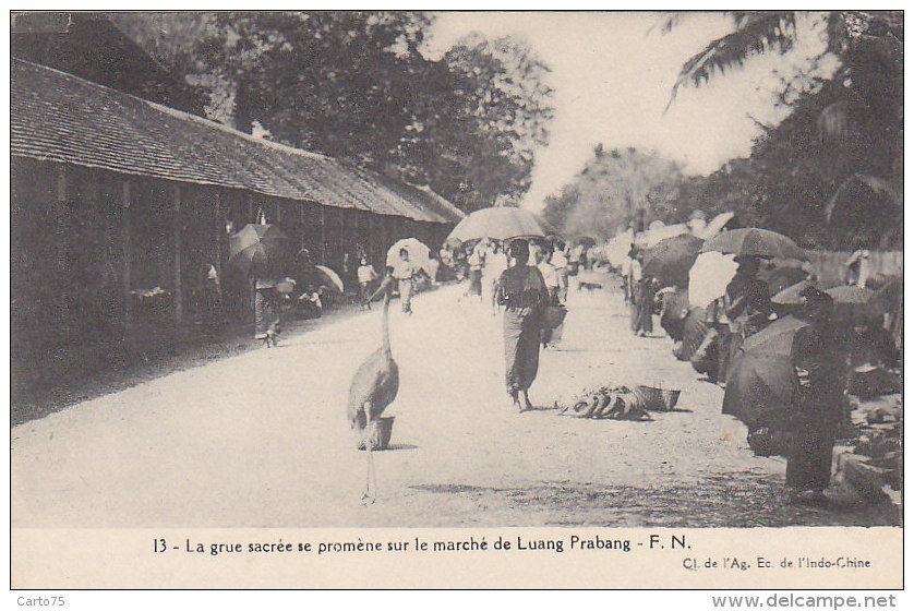 Asie - Laos -  Marché De Luang Prabang - Grue - Laos