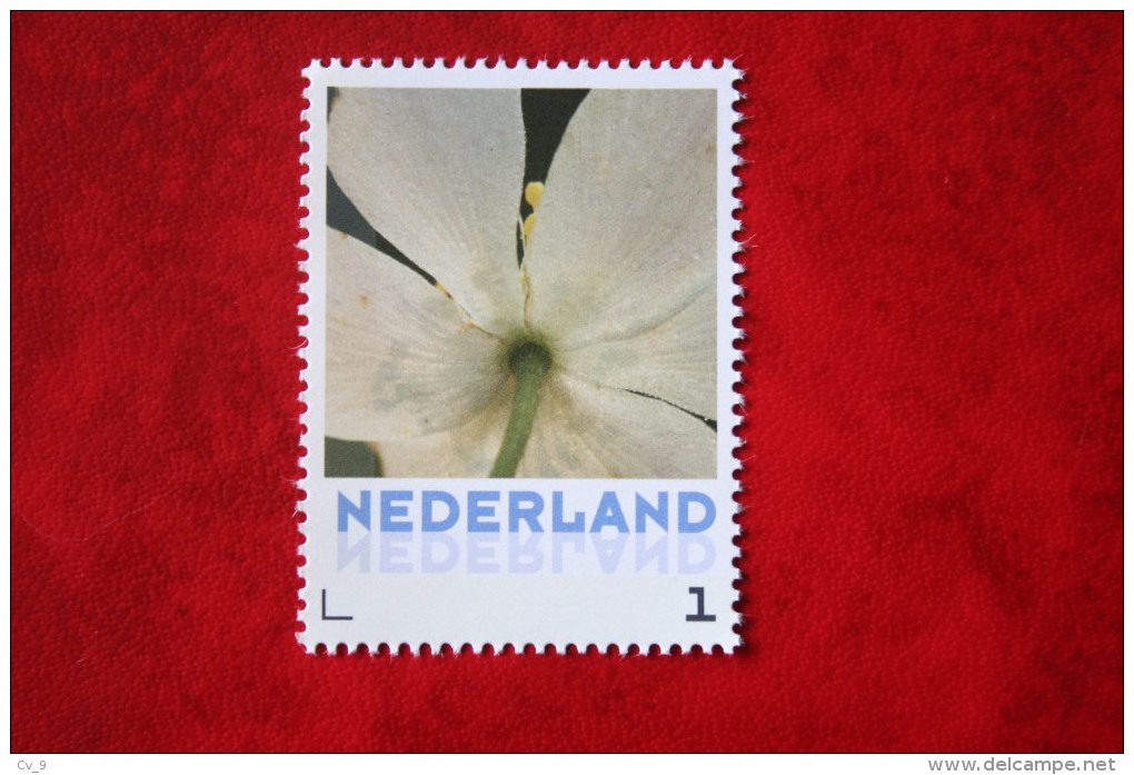 Persoonlijke Postzegel Flower Bloem Fleur Blume Bosanemoon  2016 POSTFRIS / MNH ** NEDERLAND / NIEDERLANDE / NETHERLANDS - Ongebruikt