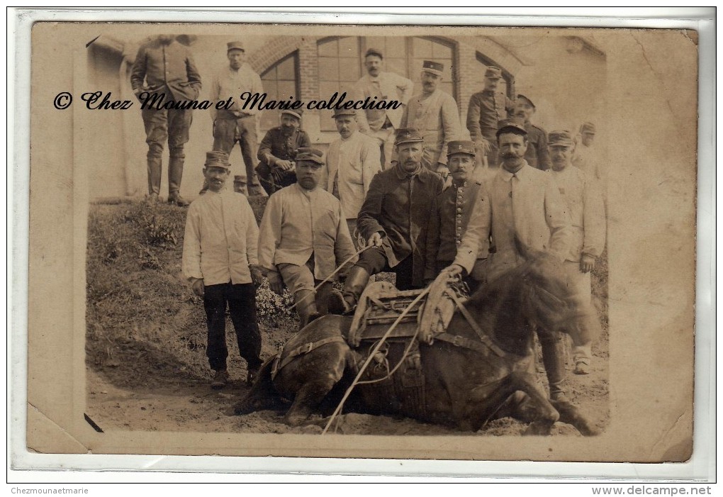 5 EME REGIMENT - CHEVAL ALLONGE AVE UNE SELLE EN BOIS - CARTE PHOTO MILITAIRE - Personnages