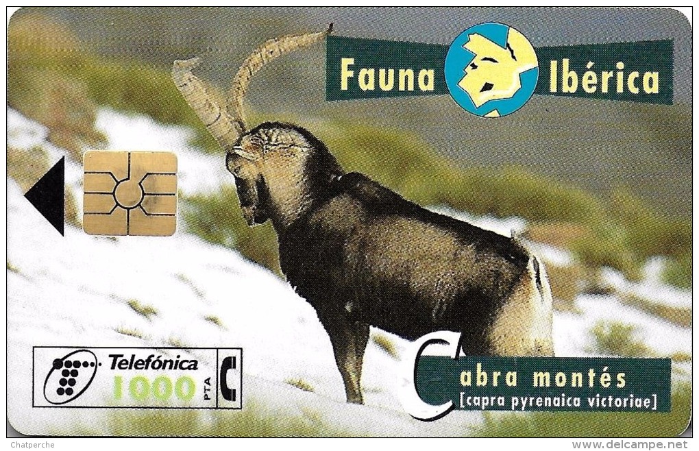TELECARTE ESPAGNE FAUNA IBERICA CABRAS MONTES 07/96 TIRAGE 1.000.000 - Collezioni