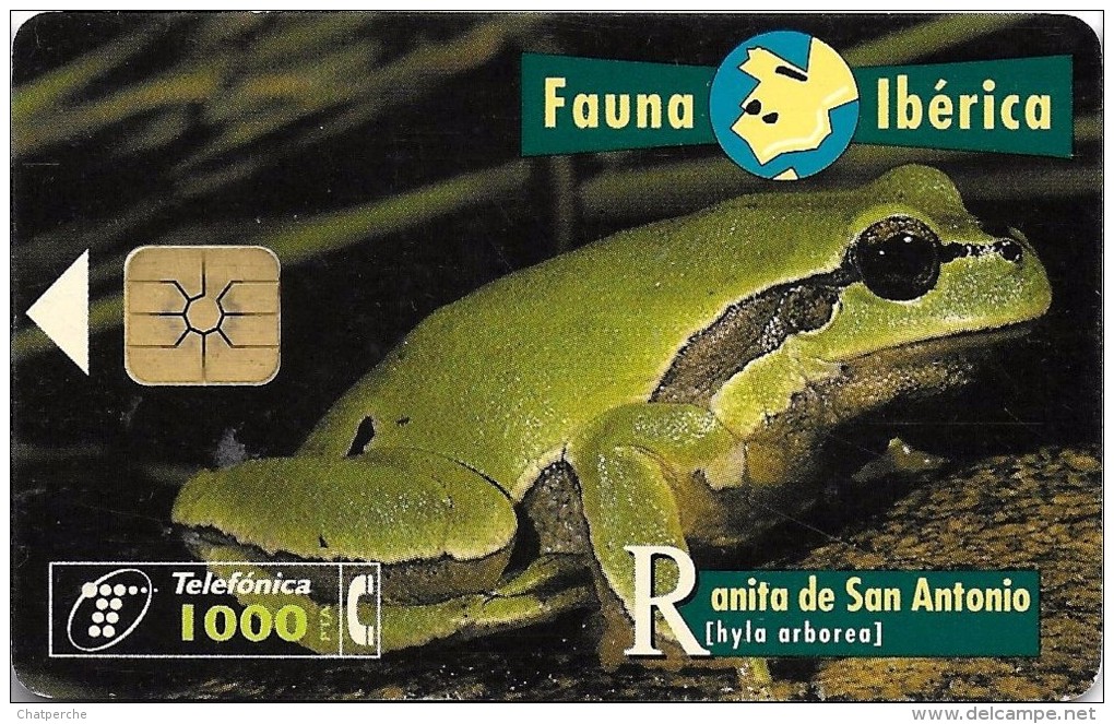 TELECARTE ESPAGNE FAUNA IBERICA RANITA DE SAN ANTONIO 08/96 TIRAGE 1.000.000 - Collections
