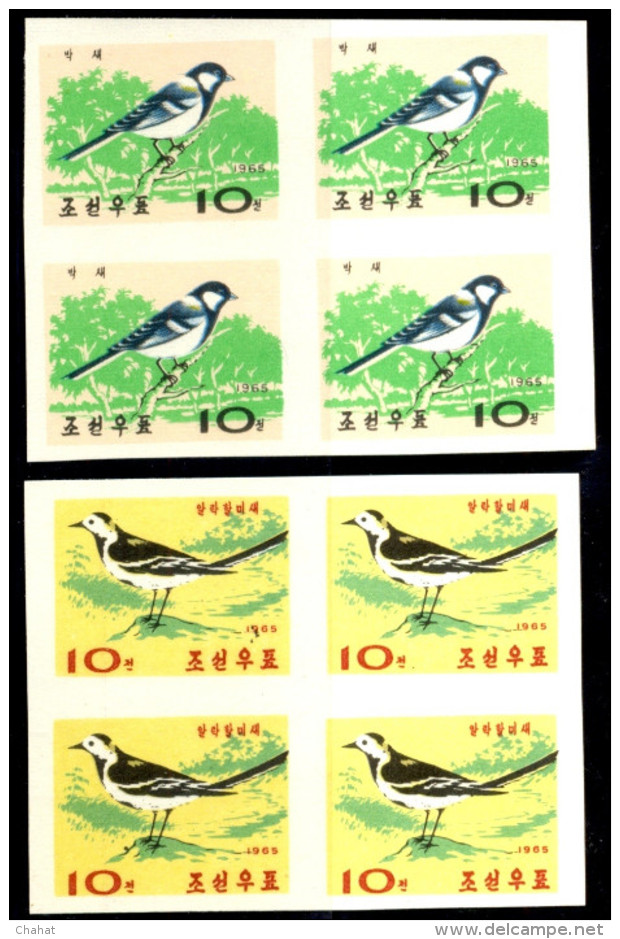 WATER BIRDS-DUCKS-TEALS-GOOSE-IMPERF-BLOCKS OF 4-SET OF 5-NORTH KOREA-1965-MNH-TP447 - Moineaux