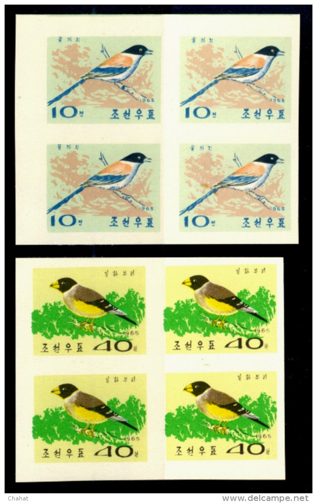 WATER BIRDS-DUCKS-TEALS-GOOSE-IMPERF-BLOCKS OF 4-SET OF 5-NORTH KOREA-1965-MNH-TP447 - Moineaux