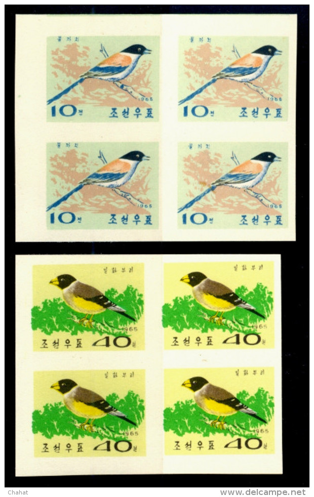 WATER BIRDS-DUCKS-TEALS-GOOSE-IMPERF-BLOCKS OF 4-SET OF 5-NORTH KOREA-1965-MNH-TP447 - Mussen