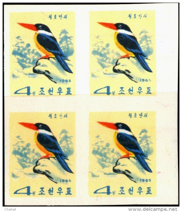WATER BIRDS-DUCKS-TEALS-GOOSE-IMPERF-BLOCKS OF 4-SET OF 5-NORTH KOREA-1965-MNH-TP447 - Mussen